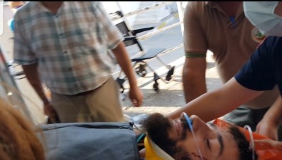 Kazdaglari'nda Yangin Açiklamasi Dumandan Kaçan Ayi Yangini Söndürmeye Çalisan Orman Gönüllüsüne Saldirdi