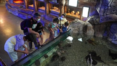 Keçiören'de Hafta Sonunun Vazgeçilmezi Deniz Dünyasi