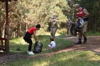 Ormanda Çevre Temizligi