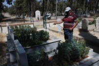 Sehit Mezarlarinin Gönüllü Bekçisi