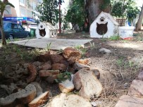 Sokak Hayvanlari Için Birakilan Bayat Ekmekler, Hayvanlarin Sagligini Tehdit Ediyor