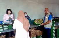 Tarim Ve Orman Müdürleri Mudanya'da Yangin Yerindeydi