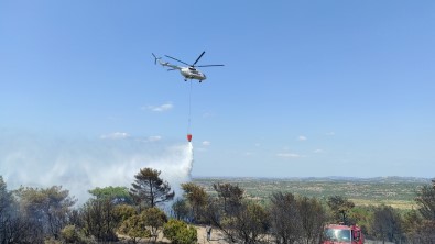 Tavakli'daki Orman Yangini Kontrol Altinda