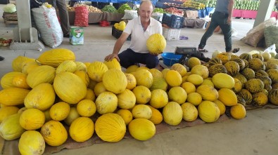 Yerli Kavun Tezgahlarda Yerini Aldi