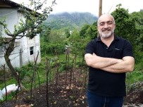 Rize'de Uçuruma Yuvarlanan Aracin Sürücüsü Hayatini Kaybetti