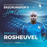Mikhail Rosheuevel, BB Erzurumspor'da