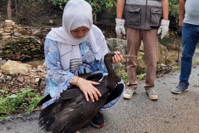 Müzeyyen Ögretmenin Duyarliligi Karaleylegin Hayatini Kurtardi