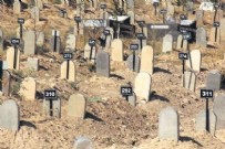 PKK'nın gizli mezarlığı ortaya çıktı! Tam 261 ceset