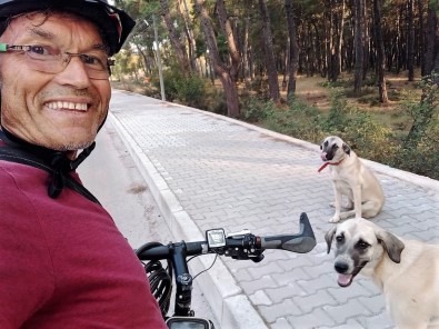 Sürücünün Çarpip Kaçtigi Yüksek Orman Mühendisi Kazada Can Verdi