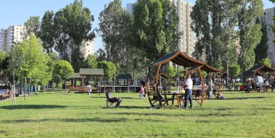 Çankaya Parklarinda Sonbahar Hazirligi