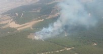 İzmir'de orman yangını!