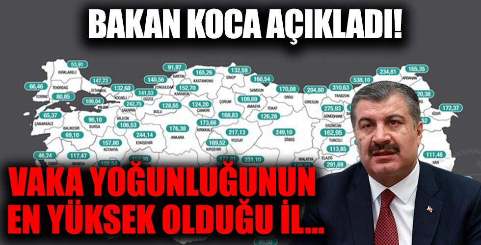 Sağlık Bakanı Fahrettin Koca 14-20 Ağustos'ta illere göre vaka sayılarını açıkladı