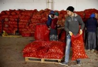 SEBZE FİYATLARI - Sebze ve meyve fiyatında manipülasyona geçit yok! Skandal görüntülerden sonra bakanlık harekete geçti...
