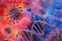 3 Ağustos 2021 koronavirüs vaka, vefat ve aşı tablosu açıklandı
