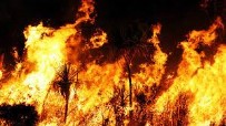 Orman yangınlarıyla mücadele! 3 bakandan önemli açıklamalar