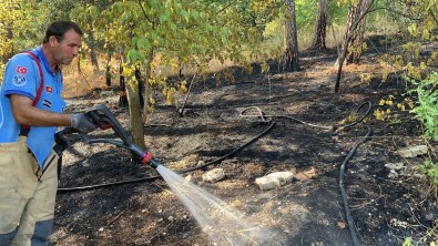 Hizli Müdahale Ormani Kül Olmaktan Kurtardi