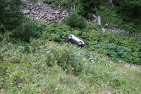 Otomobille 25 Metrelik Uçuruma Yuvarlanan Çift Ölümden Döndü Açiklamasi 1 Yarali