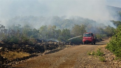 Bingöl'deki Yangina Havadan Ve Karadan Müdahale Sürüyor