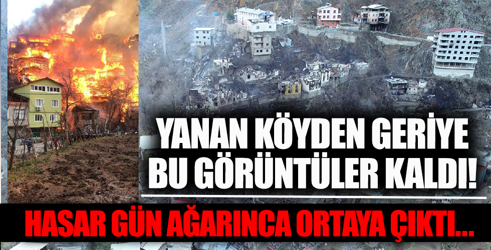 Artvin'deki yangının hasarı gün doğunca ortaya çıktı!