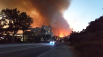 Milas'ta Alevler Termik Santrale Siçradi