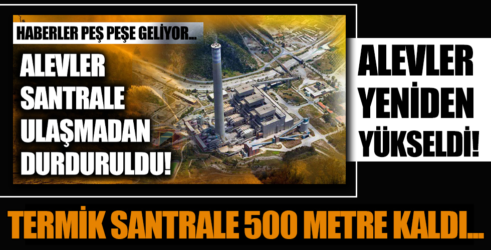 Milas'ta endişe veren gelişme! Rüzgarla birlikte alevler hızlandı, termik santrale 500 metre kaldı