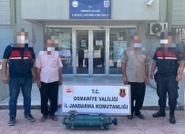 Osmaniye'de Bag Ve Bahçeden Hirsizlik Yapan Zanlilar Yakalandi