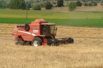 Pazaryeri'nde Hububat Hasadina Baslanildi