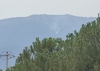 Denizli Honaz'da Orman Yangini Çikti