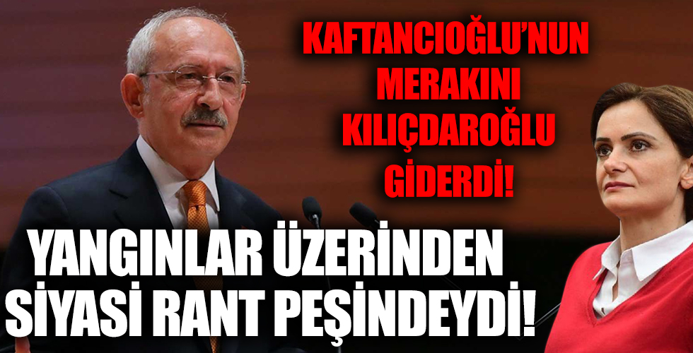 Orman yangınlarını siyasi ranta çevirmeye çalışan Kaftancıoğlu'na cevabı Kılıçdaroğlu verdi!