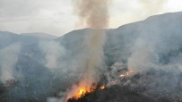 Karabük'teki Orman Yangini Havadan Görüntülendi