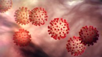 7 Ağustos koronavirüs tablosu açıklandı