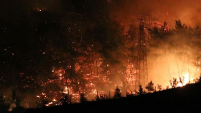 Muğla'da alevlerle dev mücadele! Tüm gücümüzle çalışıyoruz