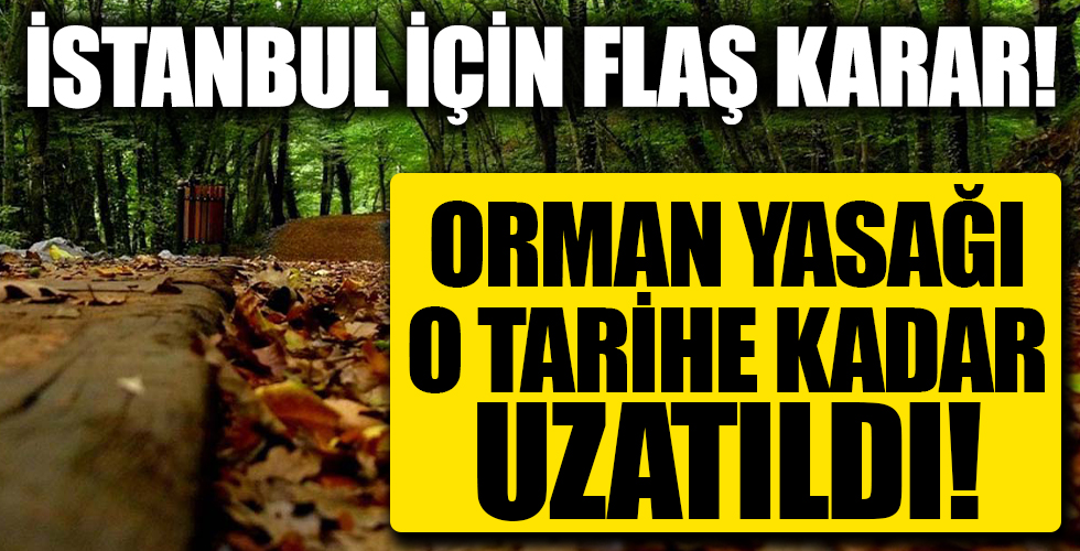 İstanbul'da flaş orman yasağı kararı! O tarihe kadar uzatıldı...