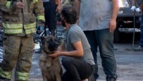 Patlamanın arasından mucize kurtuluş! Anne ve yavru köpeğini görünce...
