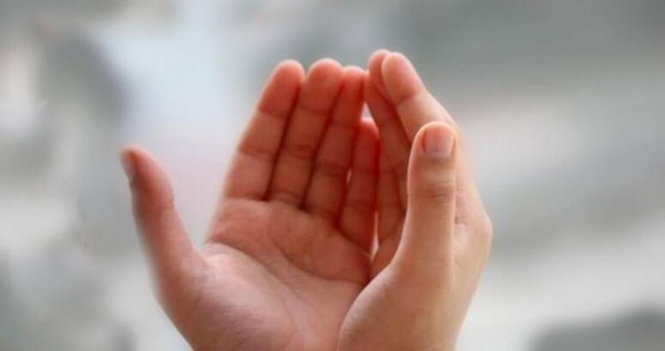 Fil Suresi Okunuşu ve Anlamı Nedir? Fil Suresi Meali