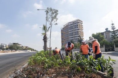 Mersin'de Mevsimlik Çiçek Dikimi Öncesi Hazirlik