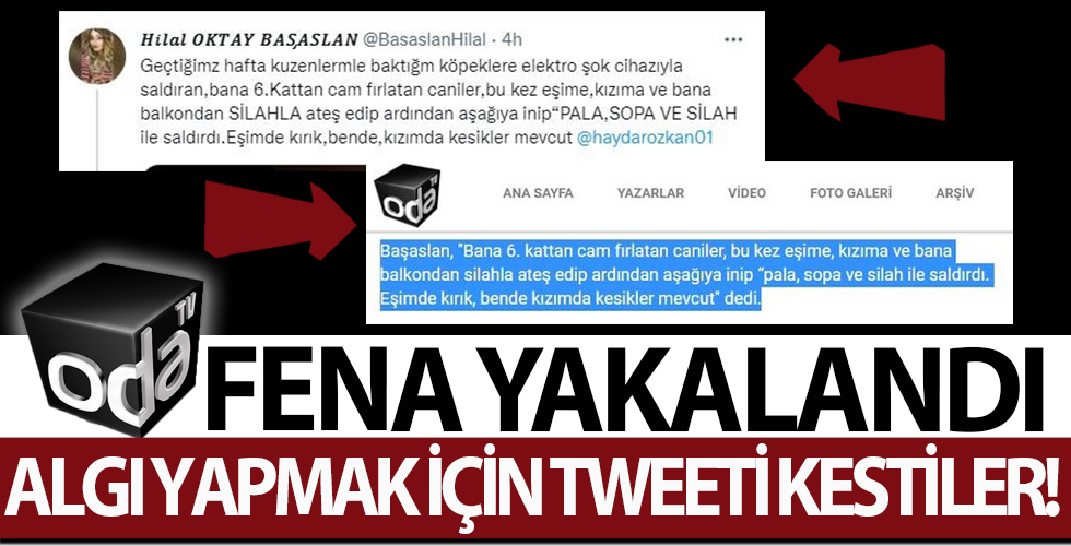 Oda TV'den kesmeli biçmeli algı oyunu! 'Köpeklere elektroşok' kavgasından siyasi operasyona kalkıştılar