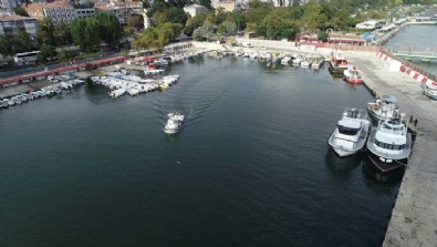 Marmara Denizi'nde kabus kapıda! Alarm zilleri yeniden çalıyor: Çok ciddi problem var...