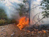 Mugla'da 3 Günde 37 Yildirim Yangini