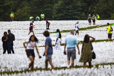 ABD'de Covid-19'Dan Ölenlerin Anisina Yaklasik 640 Bin Beyaz Bayrak