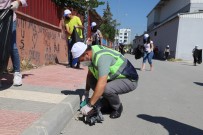 Akdeniz'de 'Dünya Temizlik Günü' Etkinligi Gerçeklestirildi