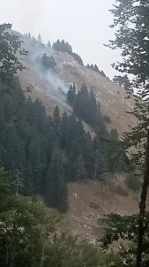 Bursa'da Korkutan Orman Yangini