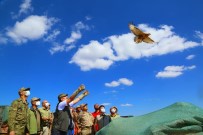 Cudi Dagi Milli Park Oluyor