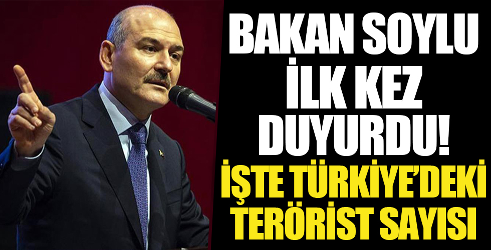 İçişleri Bakanı Süleyman Soylu: Türkiye'deki terörist sayısı ilk kez 200'ün altına düştü