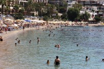 Kavurucu Sicagi Gören Denize Kostu