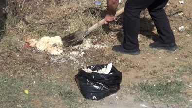 (ÖZEL) Sultangazi'de Bir Garip Olay Açiklamasi Her Gün Ayni Yere Pilav Döküyor