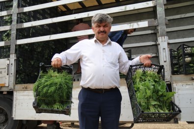 Tarladan Ucuza Alinan Sebzede Fahis Fiyatlar Tüketiciyi Magdur Ediyor