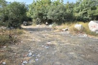 Temiz Çevre Için Çöp Topladilar