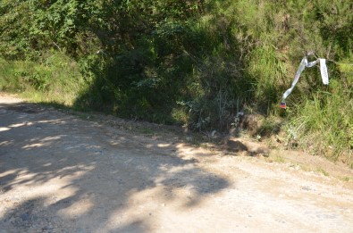 Ünye'de Ormanlik Alanda Islenen Cinayetin Zanlisi Belli Oldu