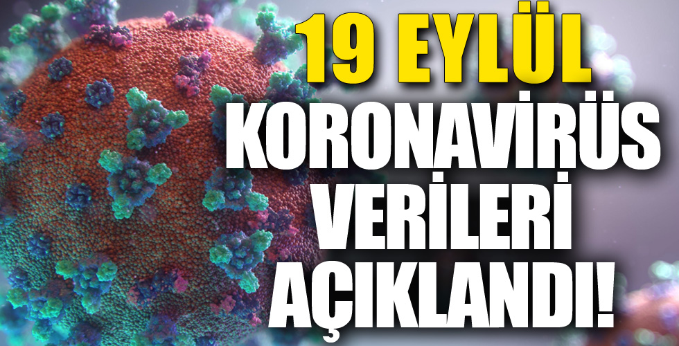19 Eylül Koronavirüs Verileri Açıklandı! 213 Vefat!